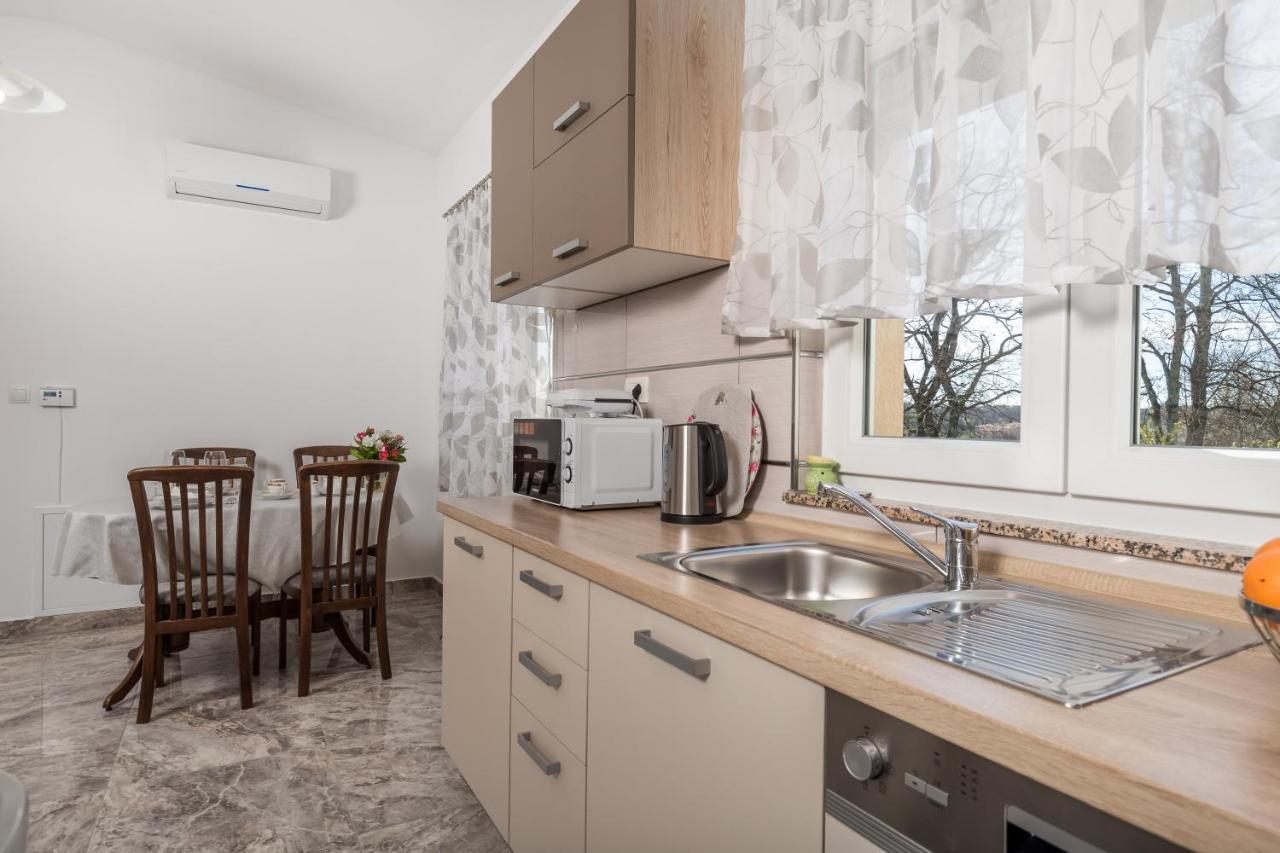 Apartment Dani-E.L. Kastav Esterno foto